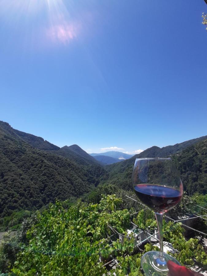 B&B La Locanda Del Cinghiale Aurano Exteriér fotografie